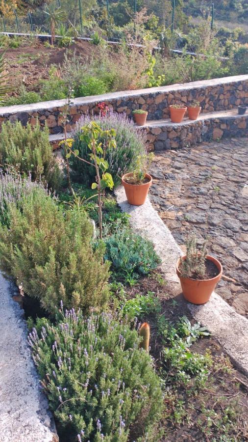 Finca Cosmos El Paso Eksteriør billede